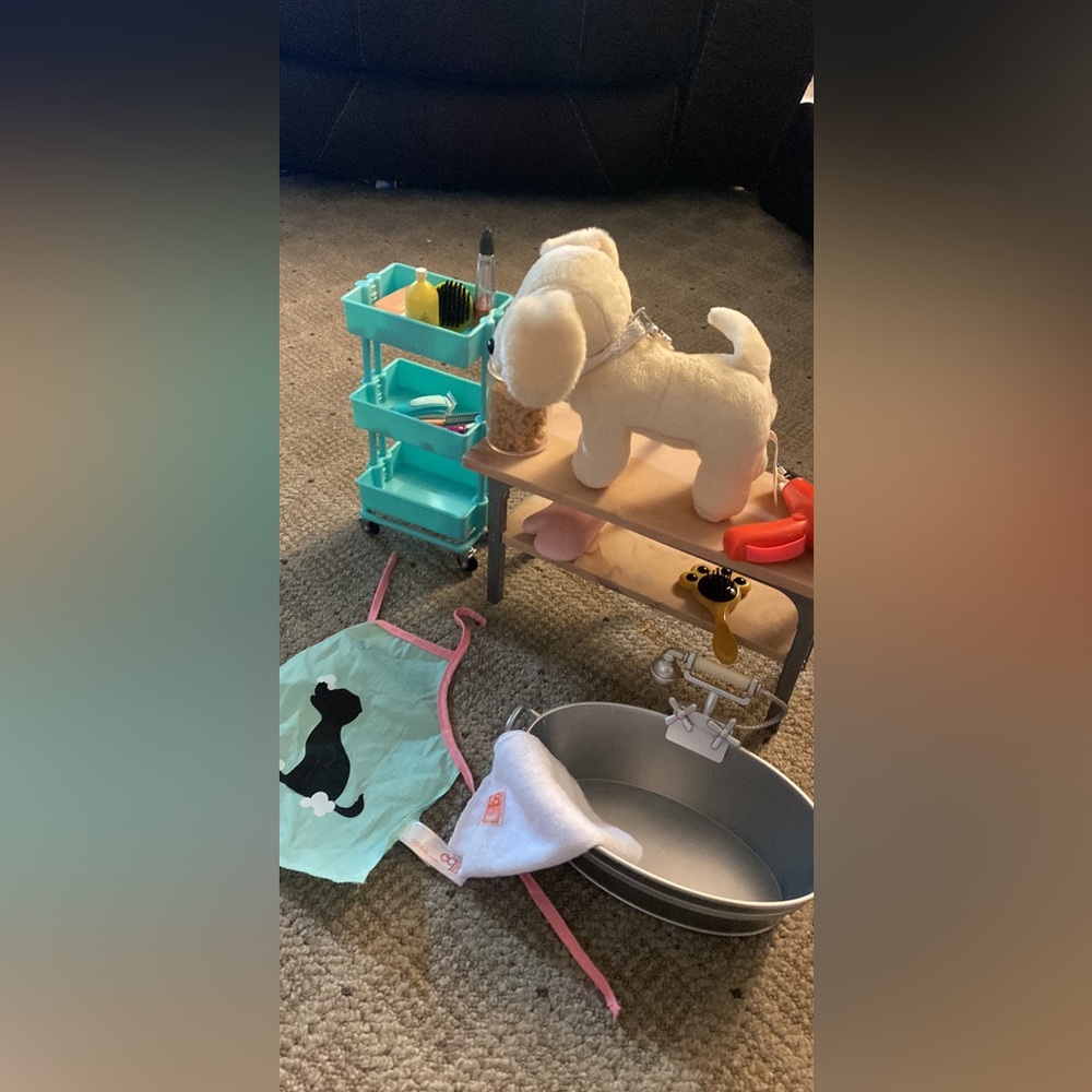 A dog salon for American girl dolls